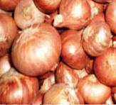 Electronics Black Wrist Watch